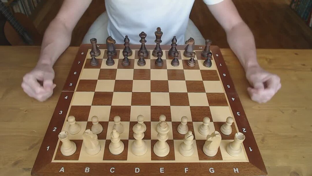 Шахматы дебют d4 d5 c4