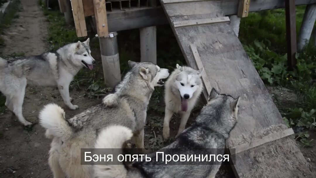 Опять гоняют. Ковтун мем. Ковтун приколы картинки. Картинка ну как там с деньгами. Опять гонять вялого фото.