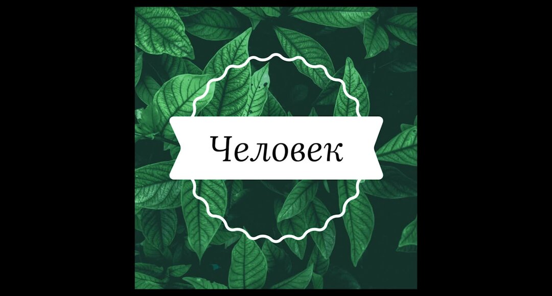 Биология 14