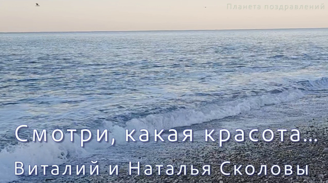 смотри какая красота стихи. посмотри какая красота ей невозможно наглядеться. виноваты звезды фразы из фильма. какая красота и невозможно наглядеться. рыжий и черный котики.