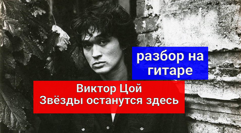 будьте человечнее в эти дни всеобщего озверения. цой звезды останутся здесь. кино звёзды останутся здесь. звезды останутся. звезды останутся здесь цой обложка.