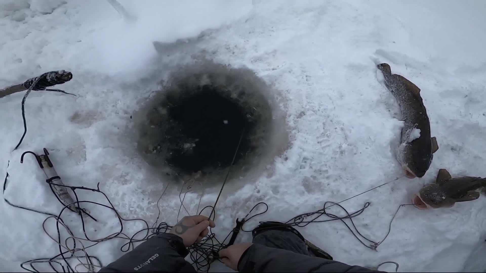 Это не диалоги о рыбалке последние видео