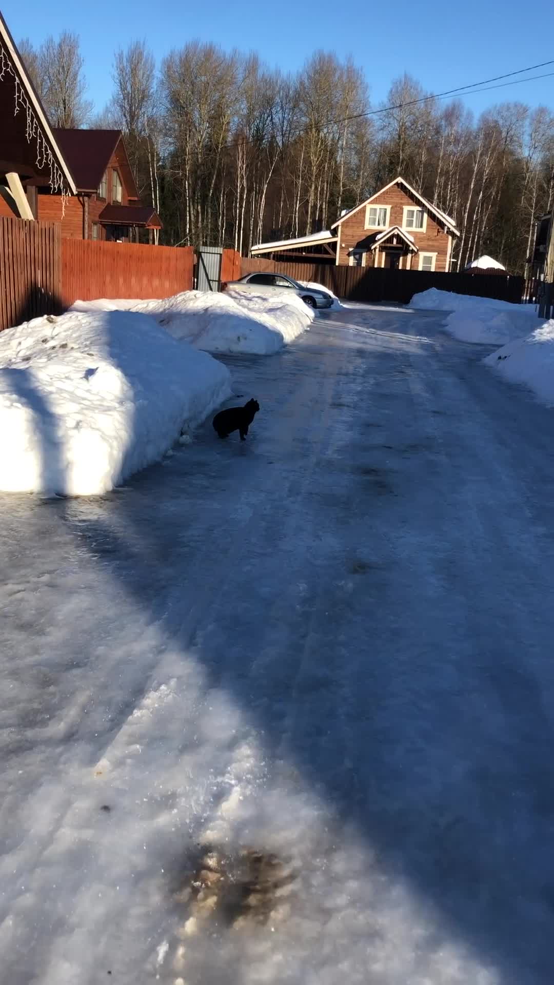 беру тебя и профессионально иду гулять. привет пошли гулять. беру тебя и профессионально иду гулять. идем гулять. когда гулять картинка.