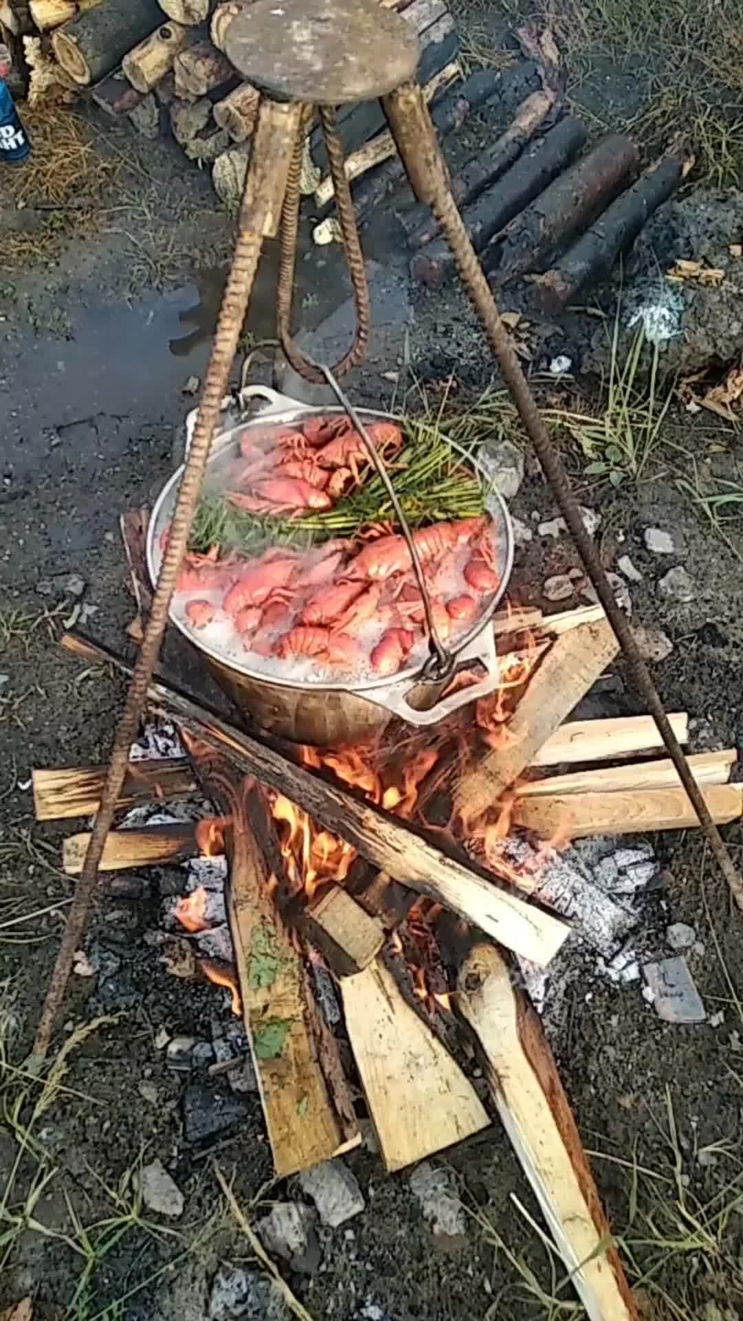 На природе Рыбалка Еда на костре | Варим раков на костре . Рецепт прост :  раки , соль ( много - не мало , сколько надо , столько и впитают) , укроп  ...