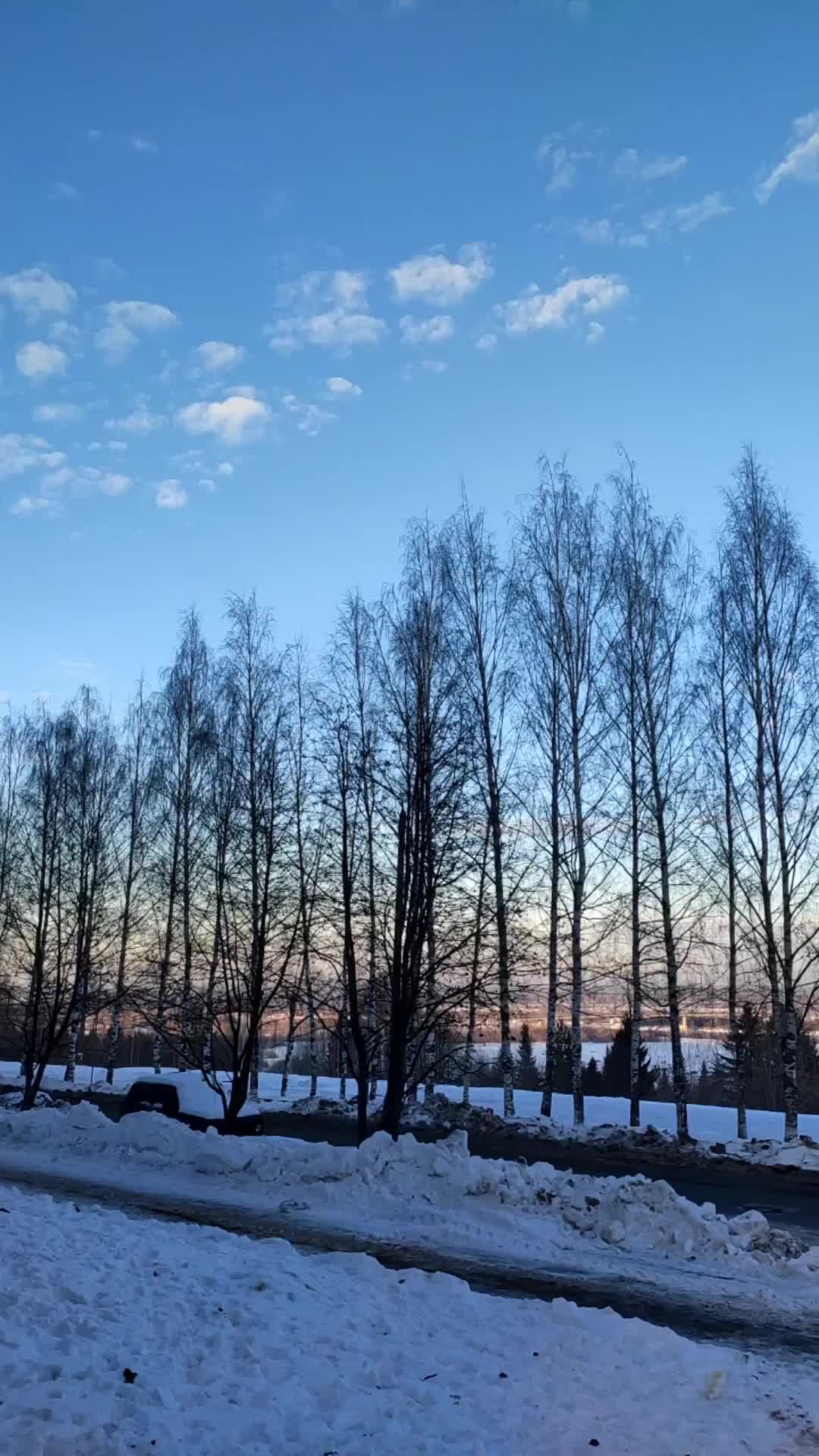 Читающая семья📙Книги | Северная набережная 🌏☀️❄️г.Киров🌲 | Дзен