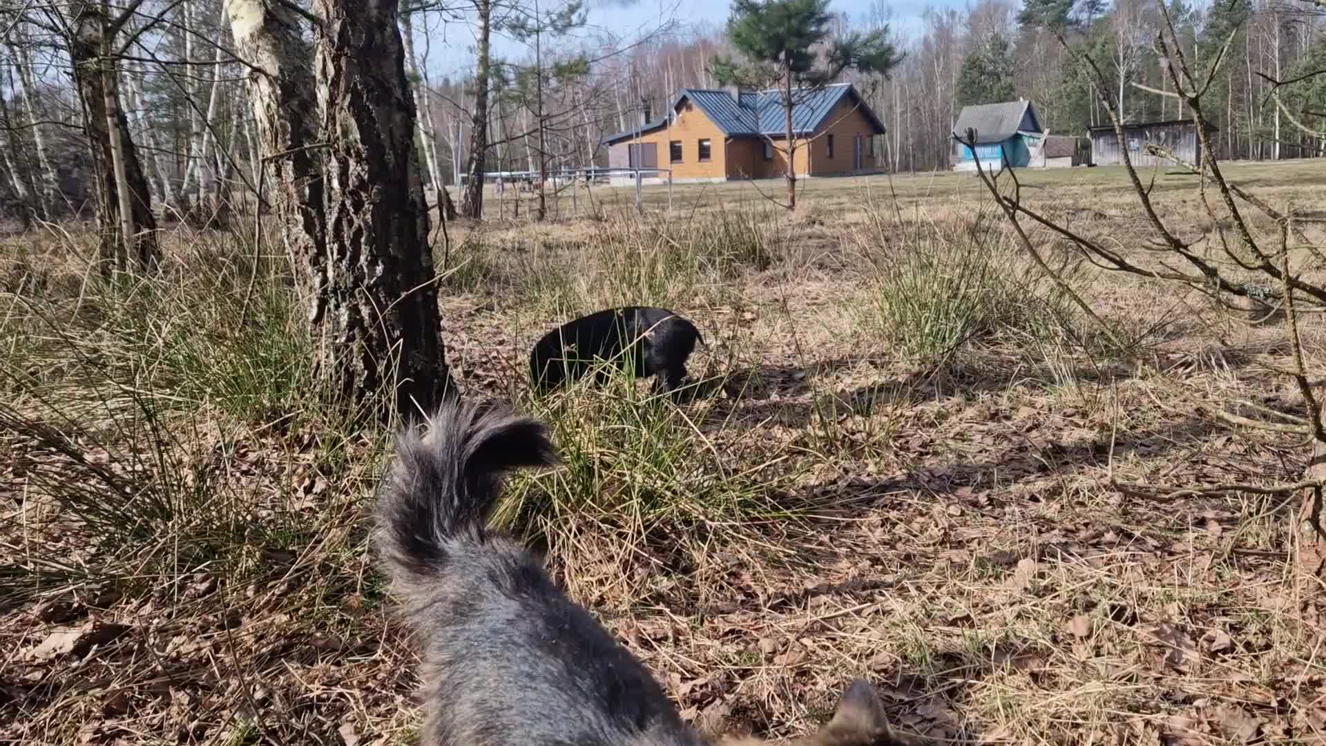 Черничный Хутор. Беларусь Брестская область черничный Хутор.