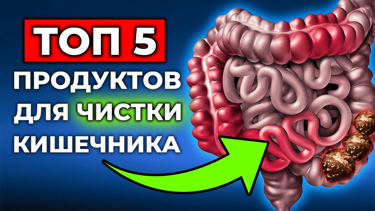 Прочистка кишечника. Топ для кишечника. чистка кишечника продуктами питания. полезные продукты для здорового кишечника.