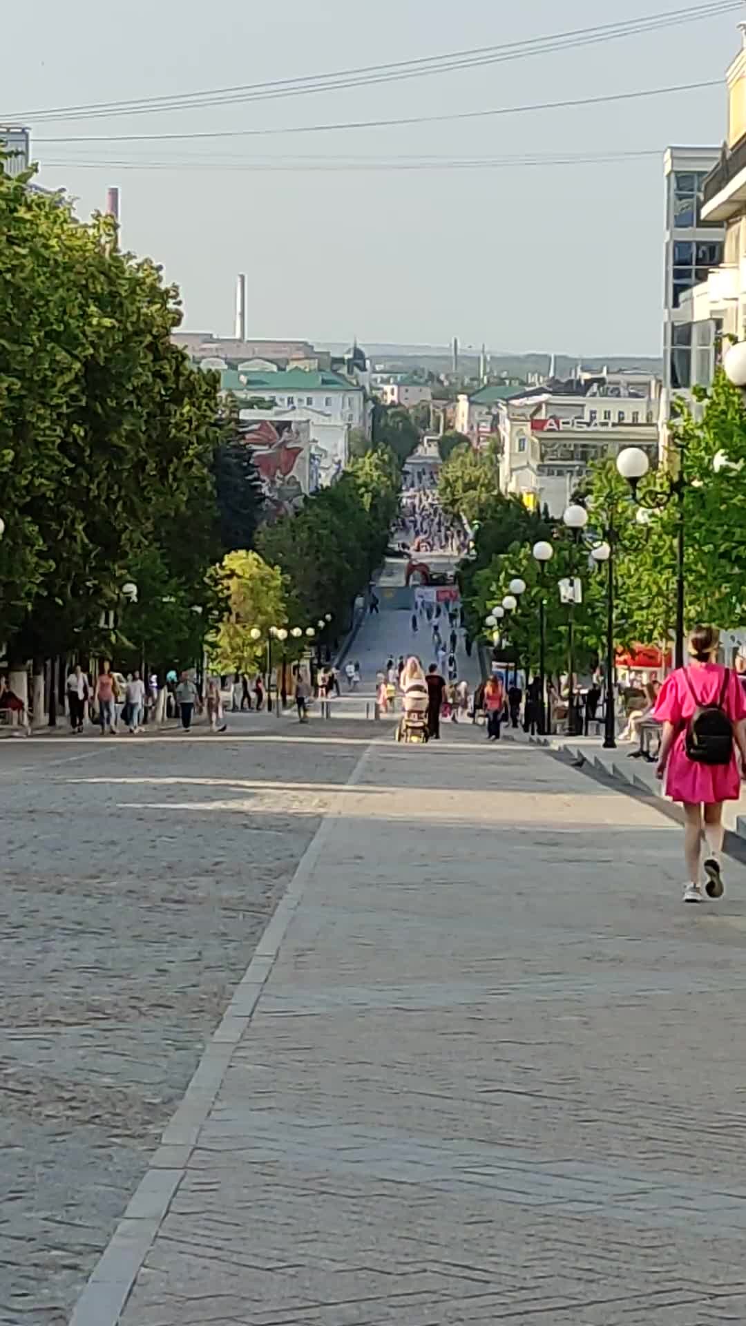 В центре Пензы спилят аварийные деревья - 6 апреля 2016 года