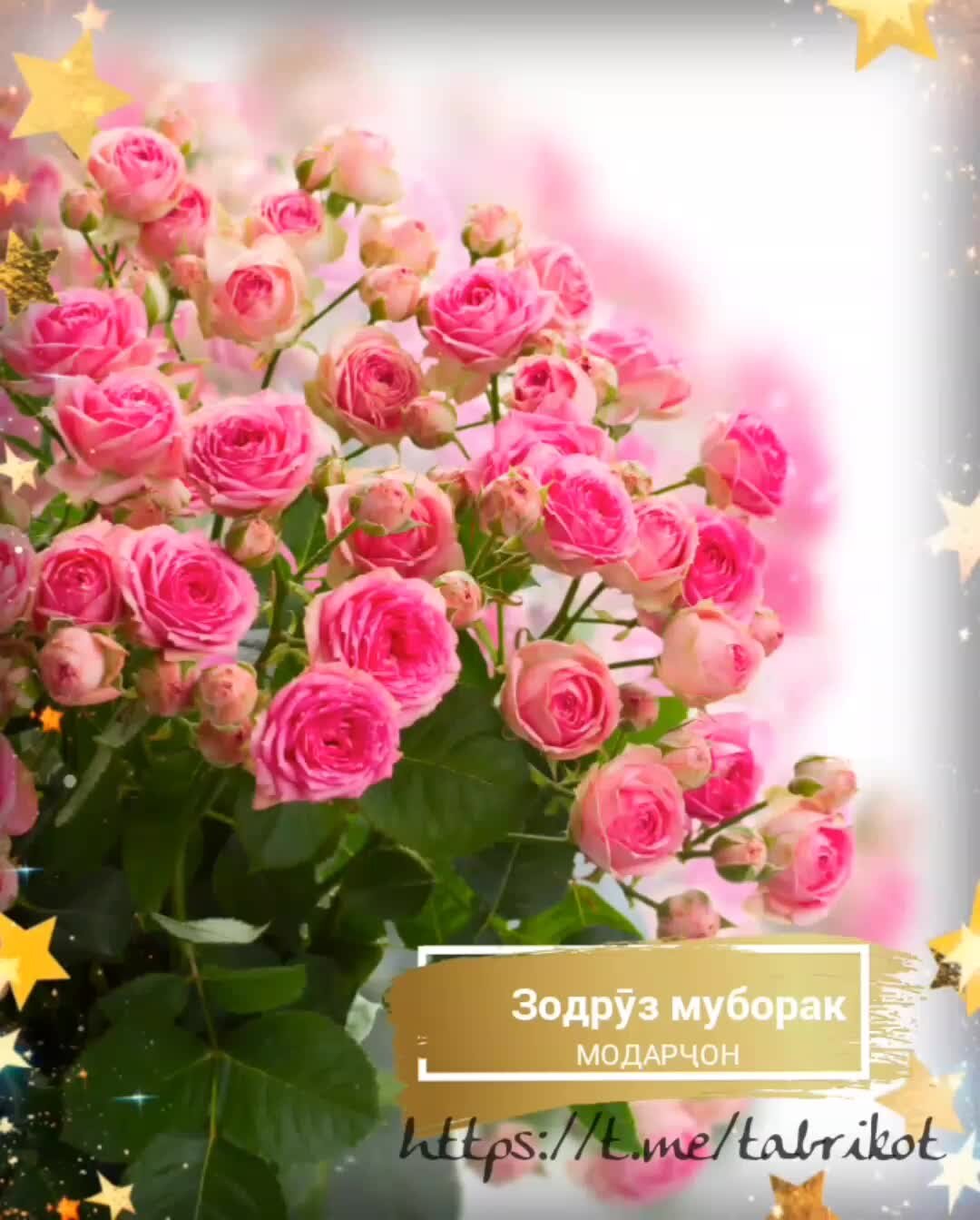 Табрикоти зодрузи