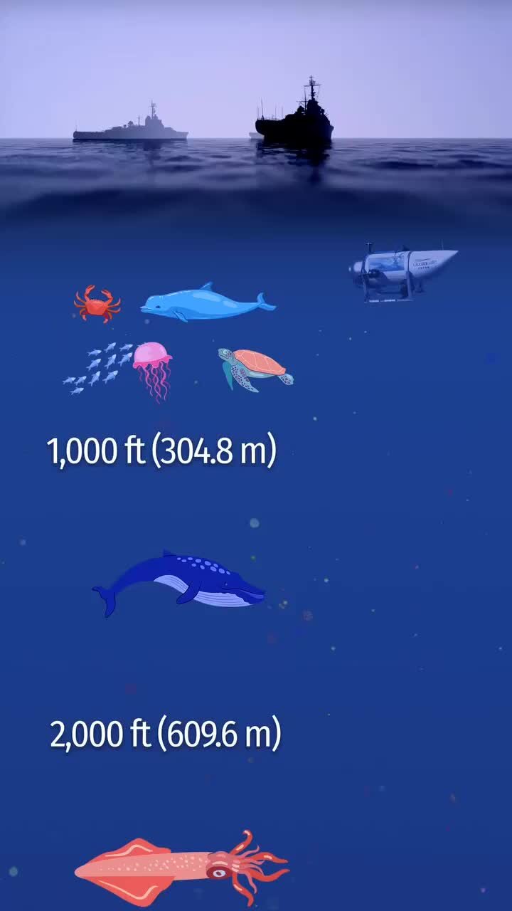 INFOX.ru | На какой глубине находится Титаник | Дзен