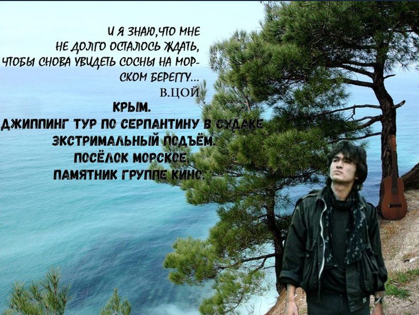 Цой сосны на берегу. Цой в Крыму фото 1982. Виктор Цой сосны на морском берегу. Группа кино сосны на морском берегу. Цой в соснах.