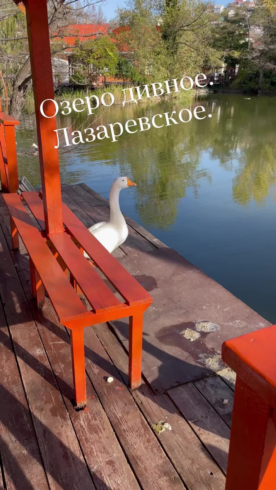 Озеро дивное балашиха