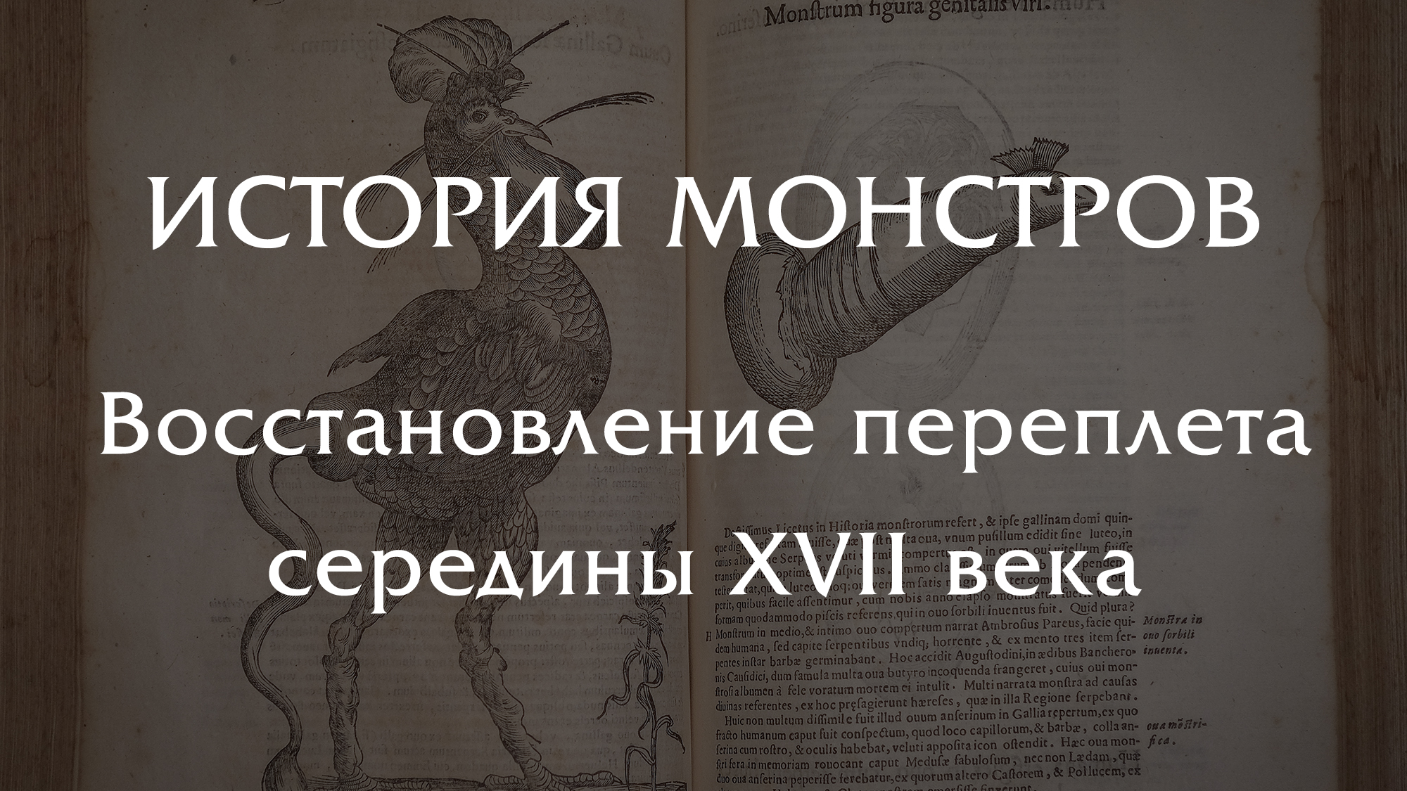 монстрики правила игры. хос ульта. монстр хай куклы фрэнки и хольт. артефакт на восстановление энергии 20 лвл геншин. ресторация монстров настольная игра.