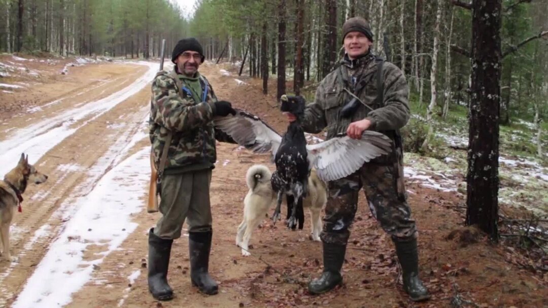 Особенности национальной охоты фильм 1995. Национальной охоты фильм 1995. Снимали охоты. Хозяева тайги томск видео новый сезон. Отрывки из фильмов особенности национальной.
