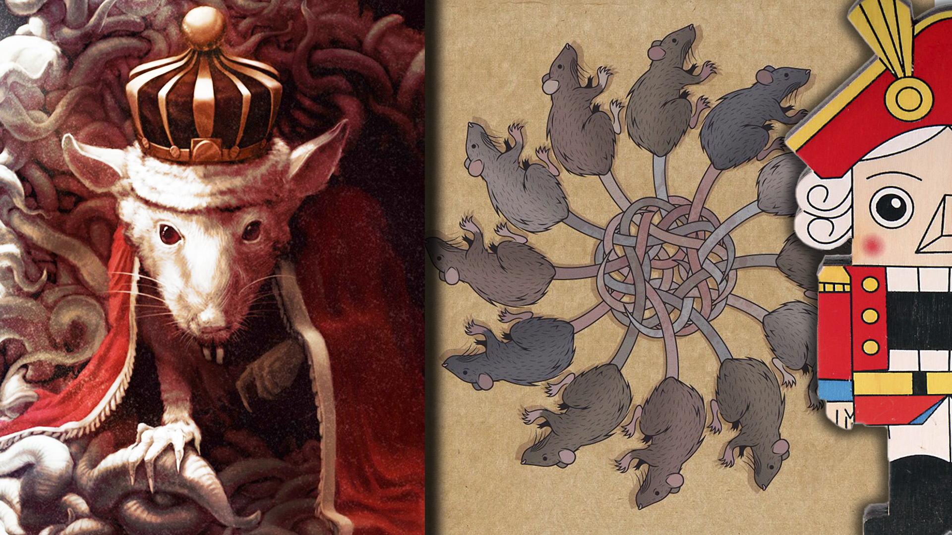 Картинки крысиного короля. Феномен крысиного короля. Явление крысиный Король. Крысиный Король рисунок.