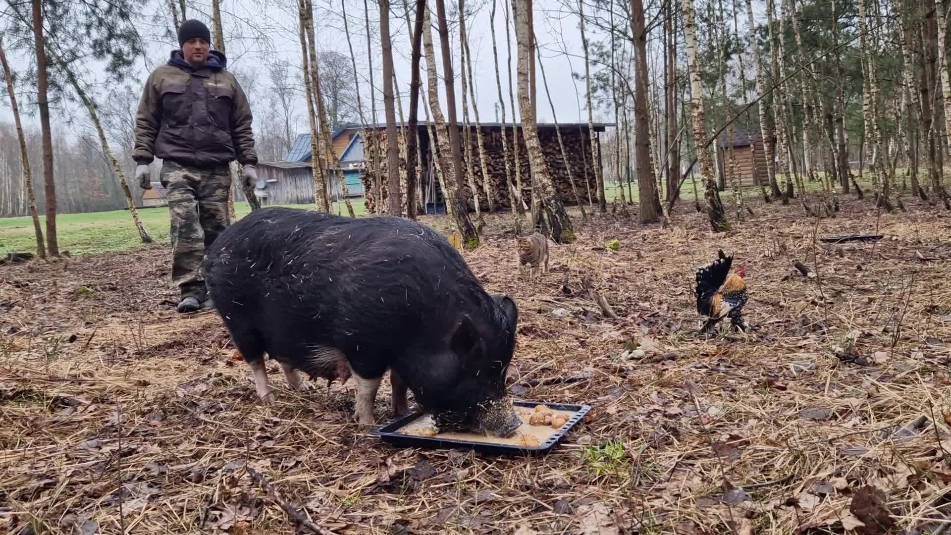 Черничный хутор новые видео