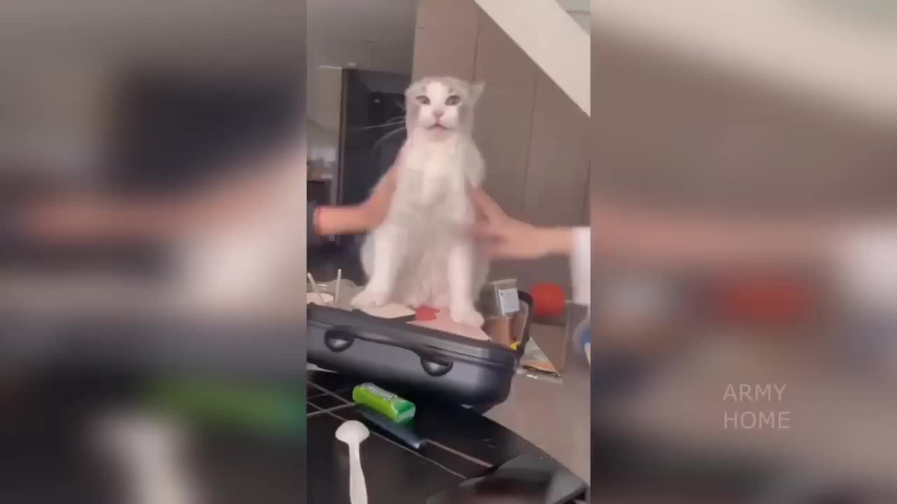 Пранки 2020 года смех до слёз. Ютуб приколы 2023 года. Приколы 2020 года смех до слёз фото. Ютуб приколы 2023 года. Приколы 2020 года смех до слёз фото.