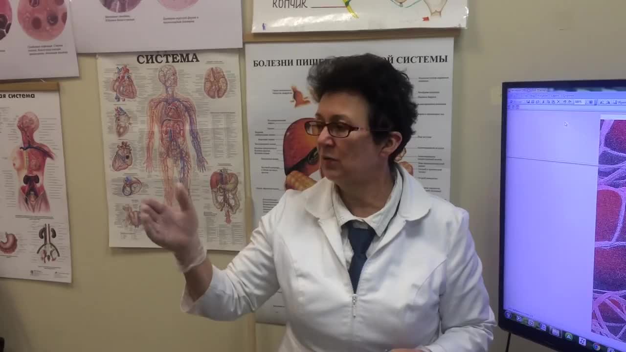 Шишова голова. Шишова голова. Шишова лимфатический массаж. Шишова голова. Шишова голова.