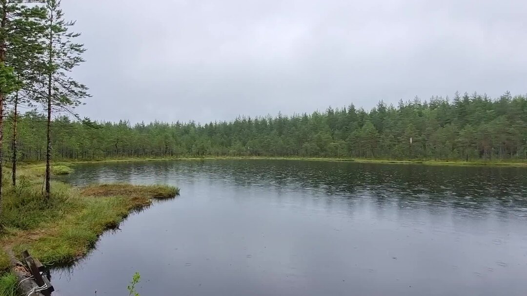 Подпорожский район Ленинградской озеро артозеро