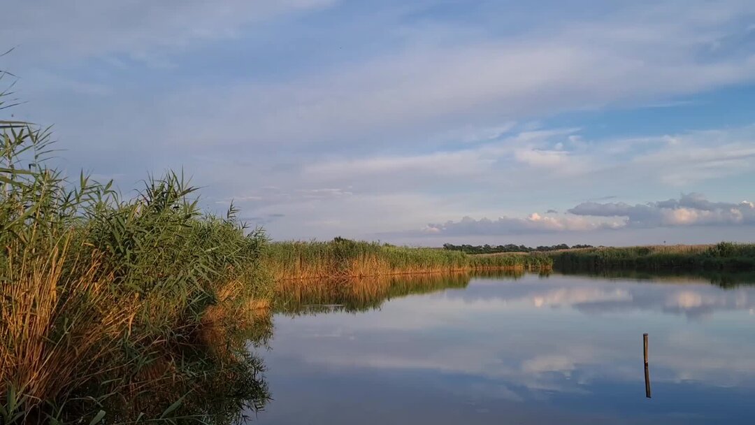 Бейсуг краснодарский край выселковский