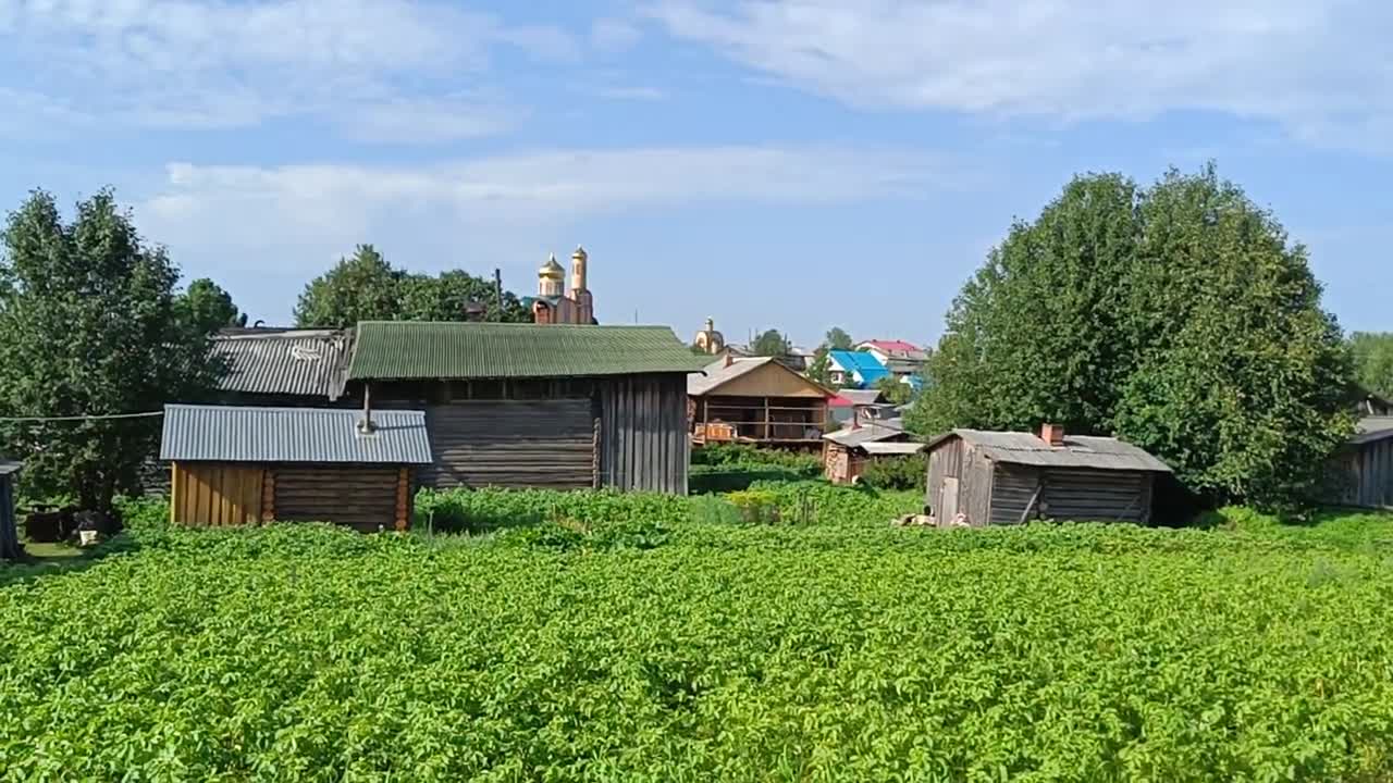 Будни олега на природе в коми