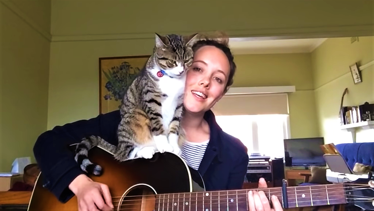 Поющий парень с котом. Поёт вместе с котом. Девочка и кот поют. Мужик с котом на руках поёт.