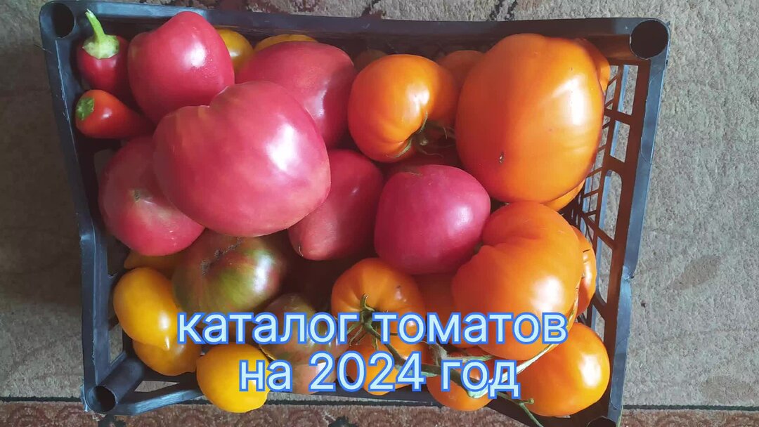 набор семян для огорода. семена на 2021 год. каталог семена заказ на 2024. каталог семена заказ на 2024. каталог семена заказ на 2024.