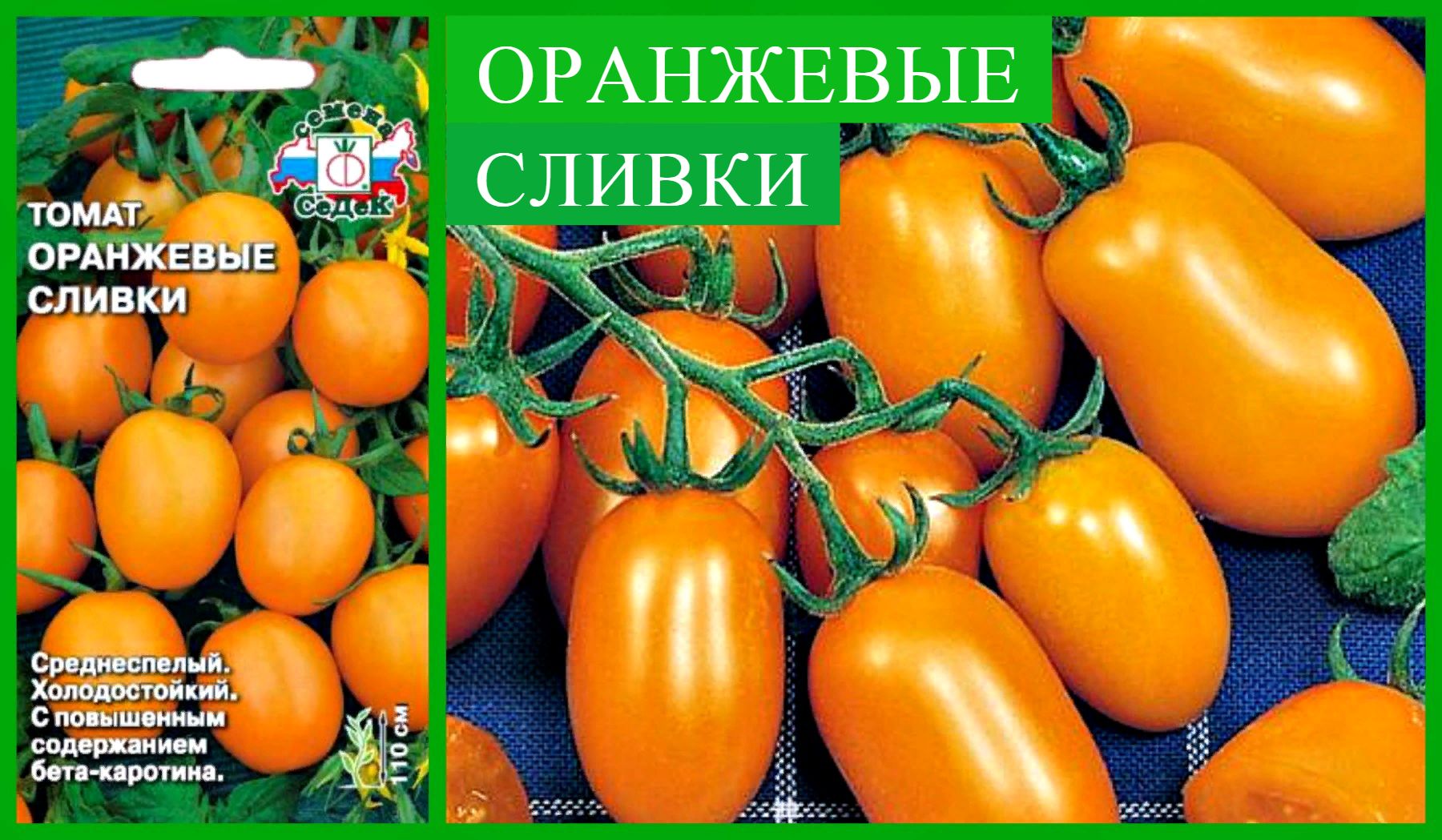 Томат сливки отзывы фото. Томат оранжевые сливки Мязина. Томаты Сливка оранжевые. Томат Королевская Сливка. Семена томат Королевская Сливка.