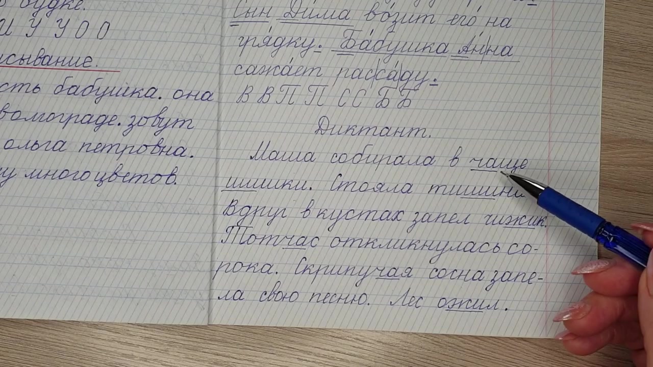 Диктант 1 класс по русскому языку жи. Диктант на жи ши. Диктант 2 класс.