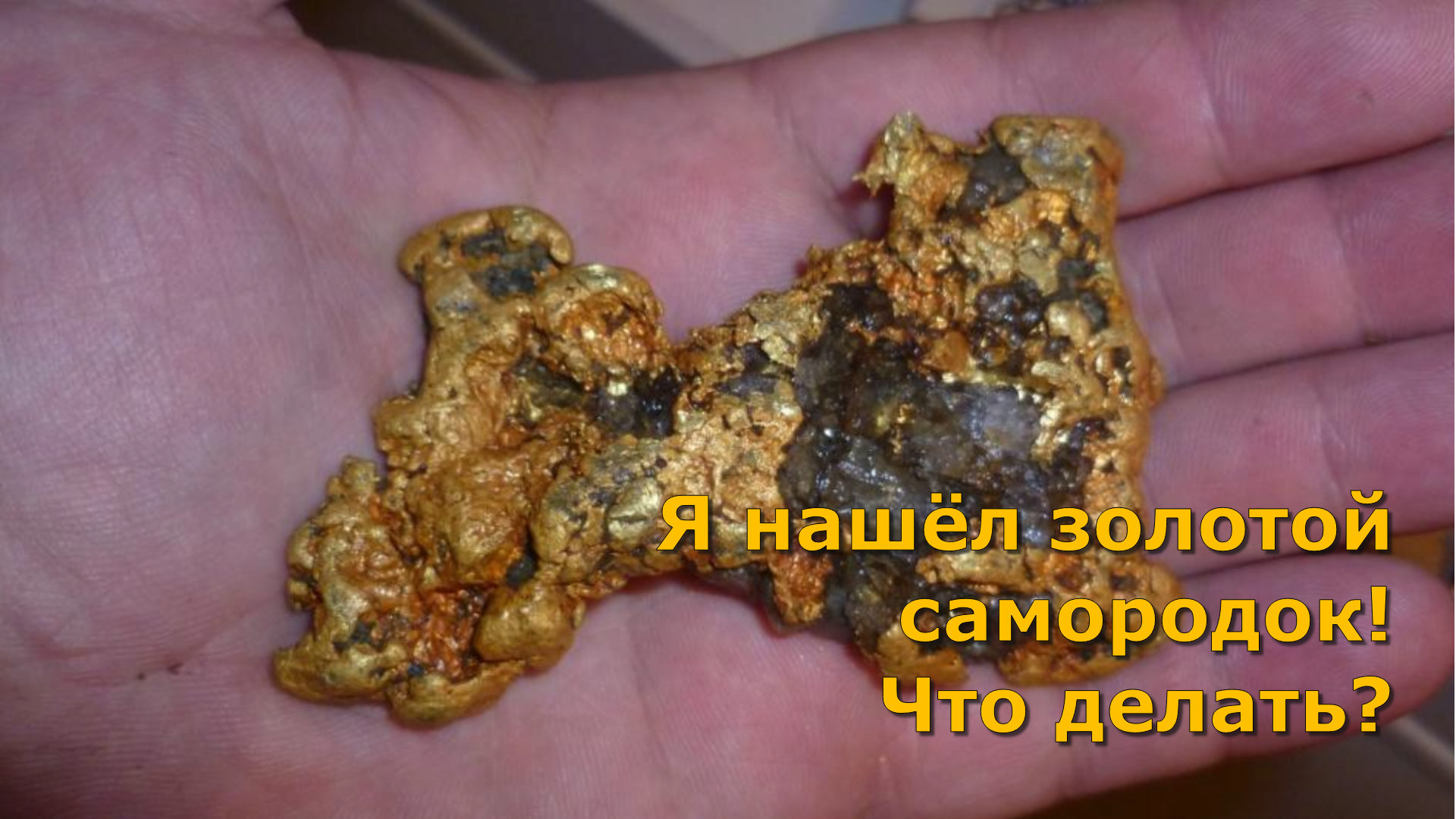 Достали слиток золота. Самородное золото. Найденные золотые самородки. Нашел самородок золота. Кусок золота.