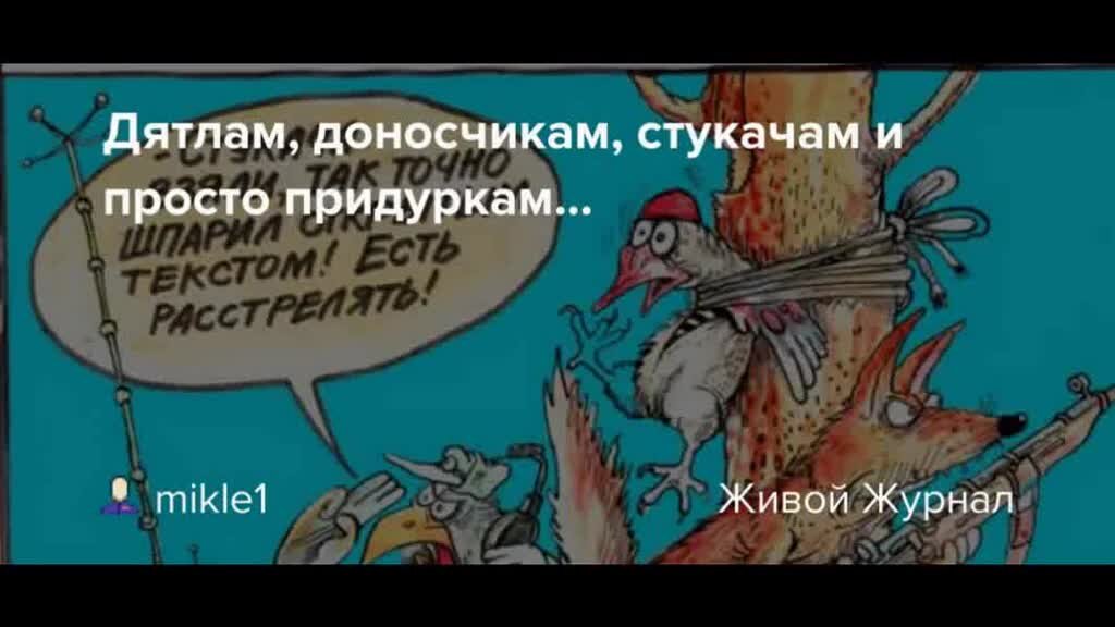 Доносчик фото. Стучит начальству. Шутки про доносчиков. Как называется мелкий доносчик. Стукачество.
