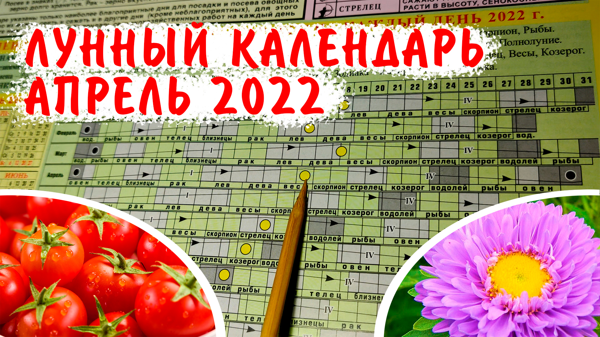 Календарь огородника на декабрь. Посевной календарь. Календарь Луны. Посевной календарь на апрель 2022 для огородников Ростовской области. Посевной на апрель.