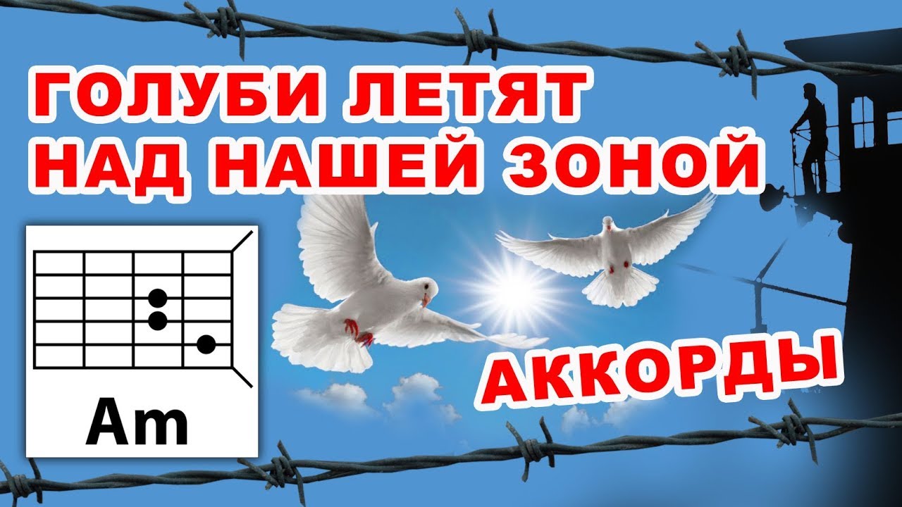 Зоне текст. Голуби над нашей зоной. Голуби летят над нашей зоной аккорды. Голуби над зоной. Голуби над нашей зоной аккорды.