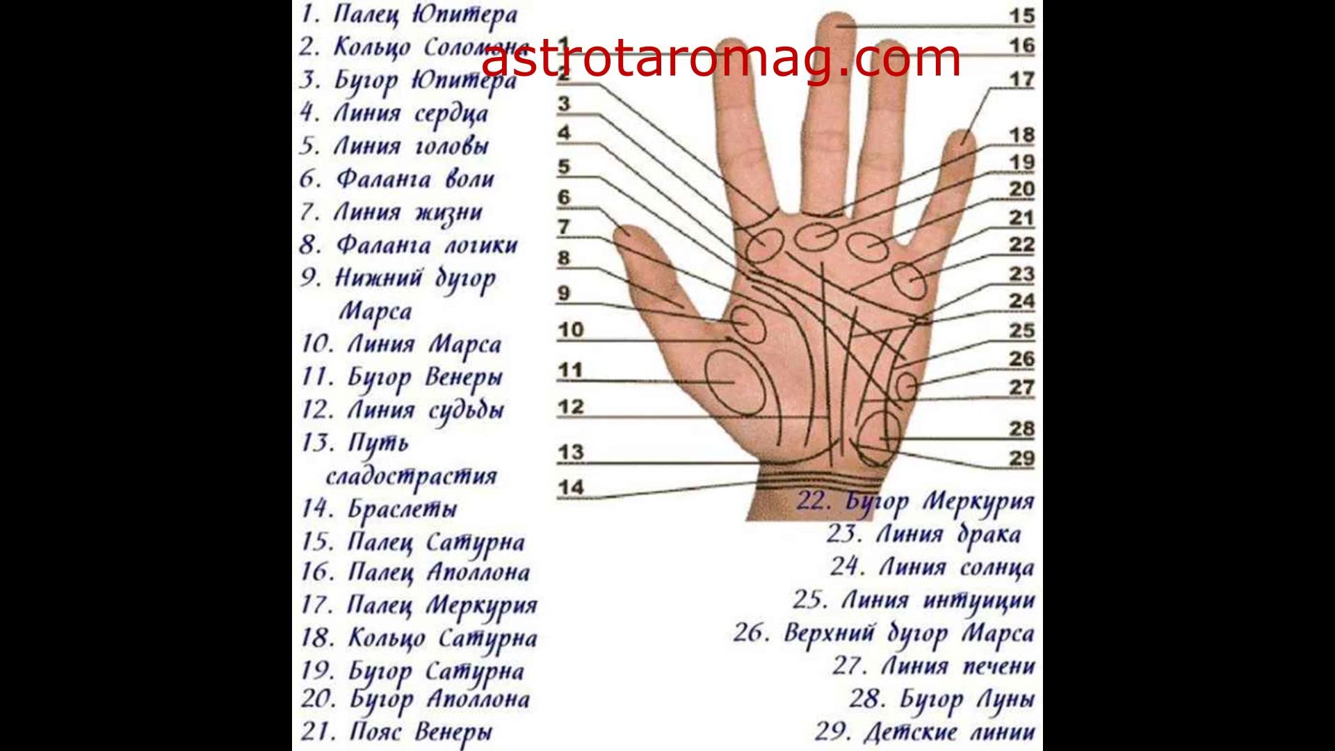 Хиромант линии судеб. Хиромант сериал 1 сезон. Линии защиты хиромантия. Линии на ладони. Линии на ладони.