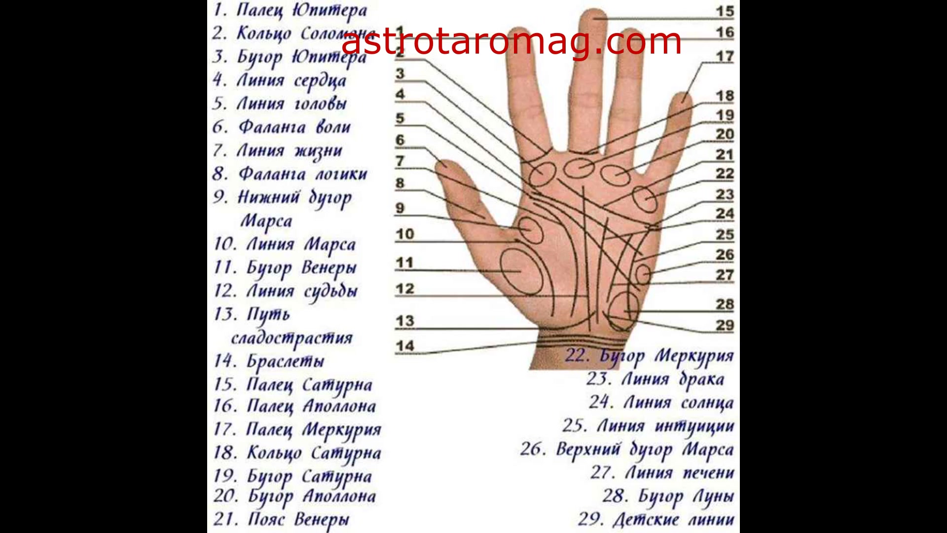 Хиромант линии судеб. Линии защиты хиромантия.
