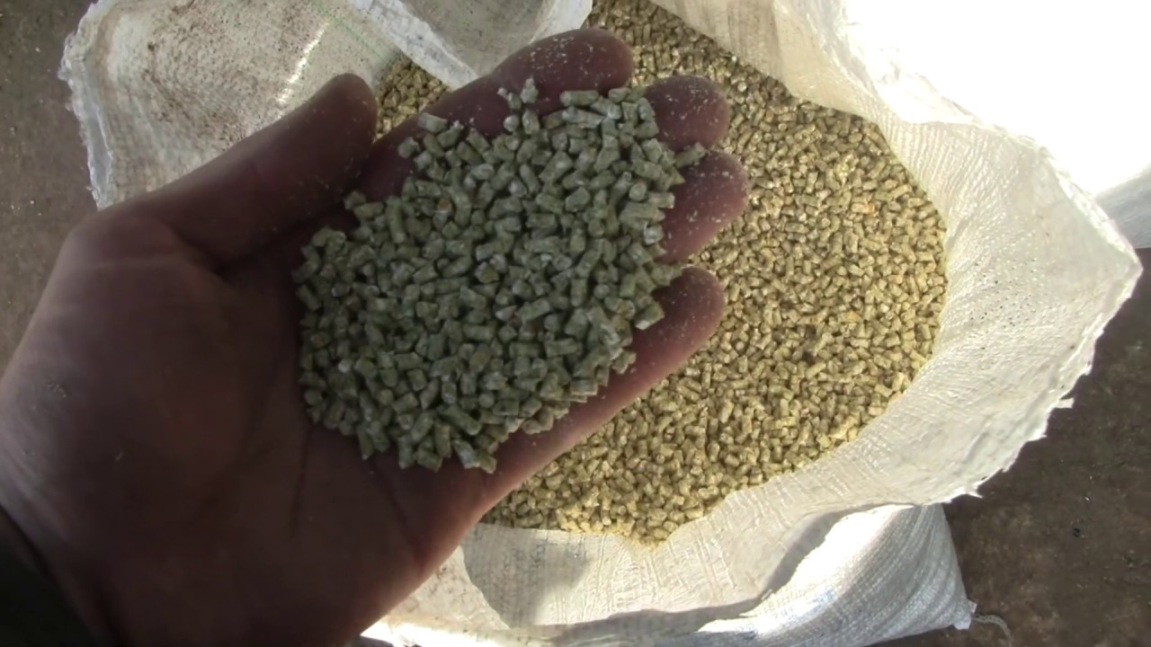 пк-1 комбикорм для кур несушек. комбикорм самому. пк-1 комбикорм для кур несушек. комбикорм самому. состав корма для несушек.