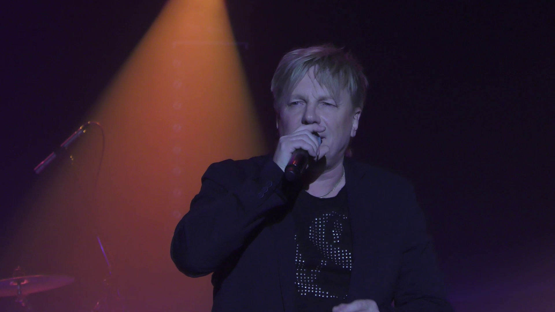 Виктор Салтыков "Улетели листья с тополей"