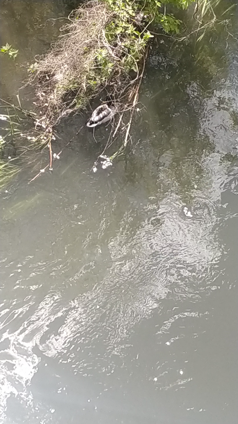 Пейзаж пляжа с человеком фото. Мальчик прыгнул в водяную воронку. Нашли пацана который прыгнул в реку белую. Прыгаем в речку. Вслед за первым прыгнувшим в реку.