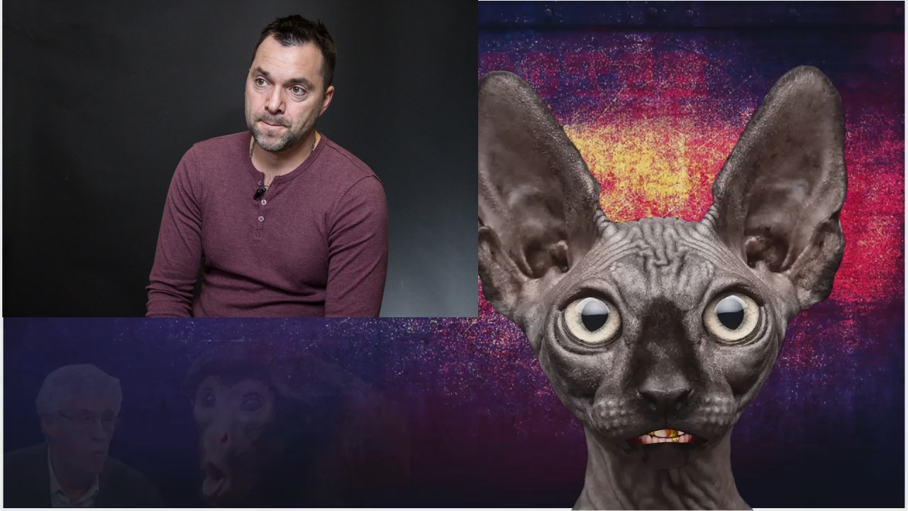 кот костян ютуб