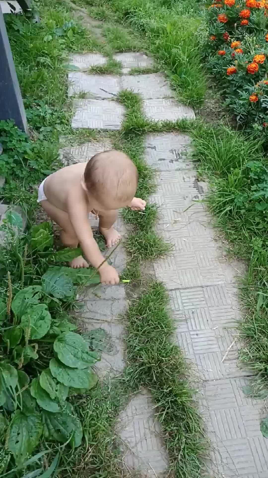 малыши голыши 