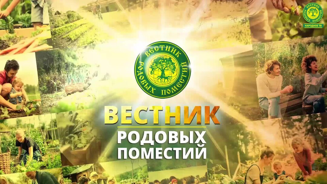 сообщество р