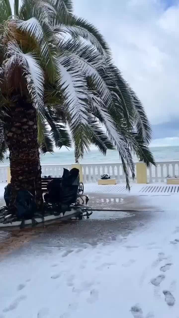 Михайловский собор Сочи зима