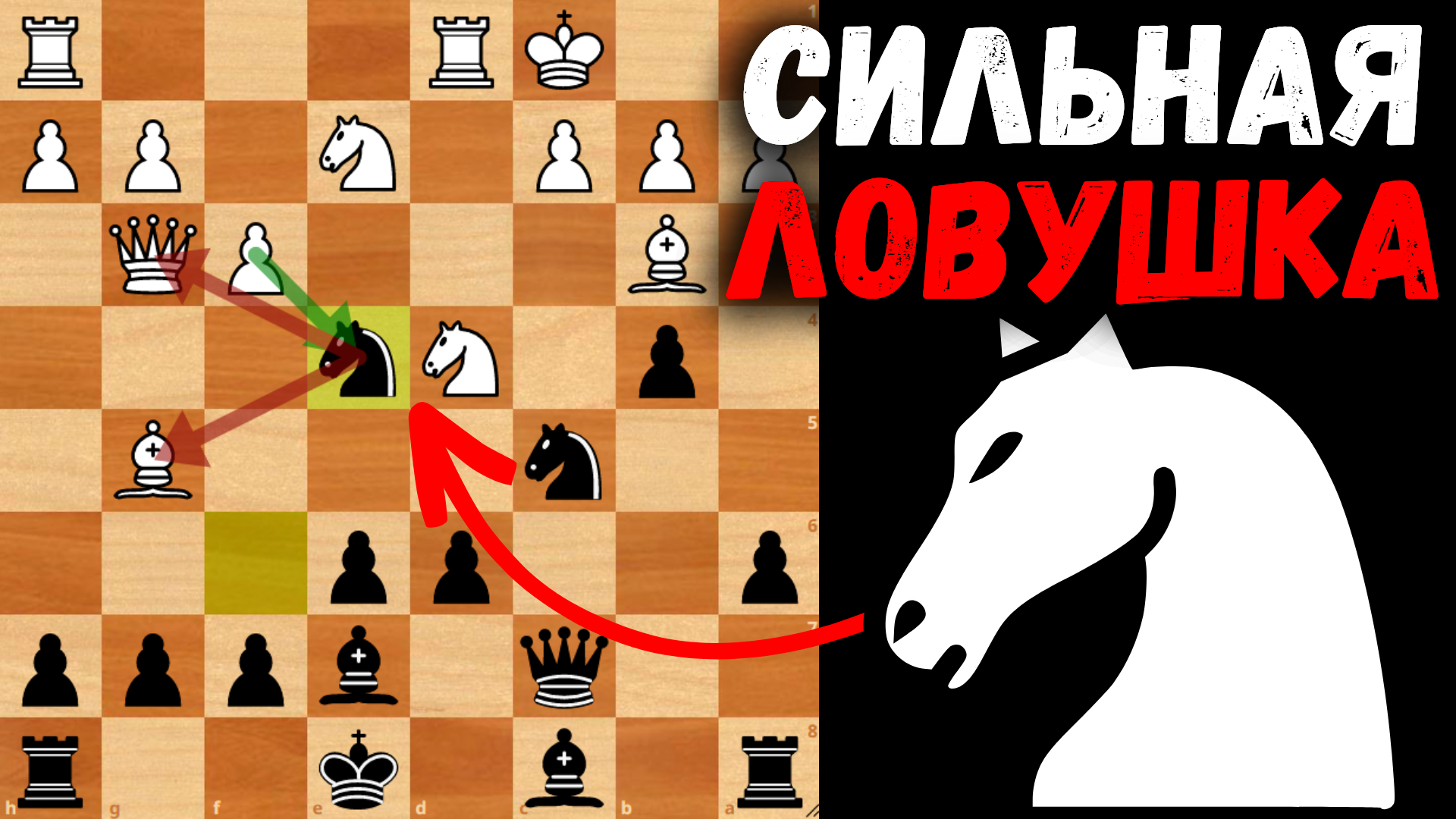 шахматы дебют двух коней. игра в шахматы ход конем. французская защита в шахматах. шахматные дебюты. анатолий карпов корчной матч 1978.