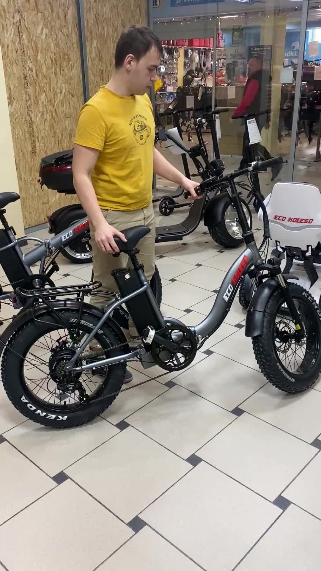 Электровелосипед golden motor 1000w. Электровелосипед eco drive v5. Электровелосипеды eco. Электровелосипед ecobike swan. Электровелосипед eco drive v5.