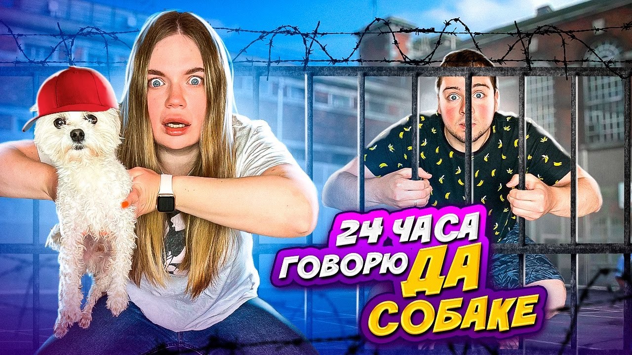 Собака управляет моей жизнью. Собака miss hollywood. Собака управляет моей жизнью. 24 часа собачка управляет вашей жизнью. Собака управляет моей жизнью.