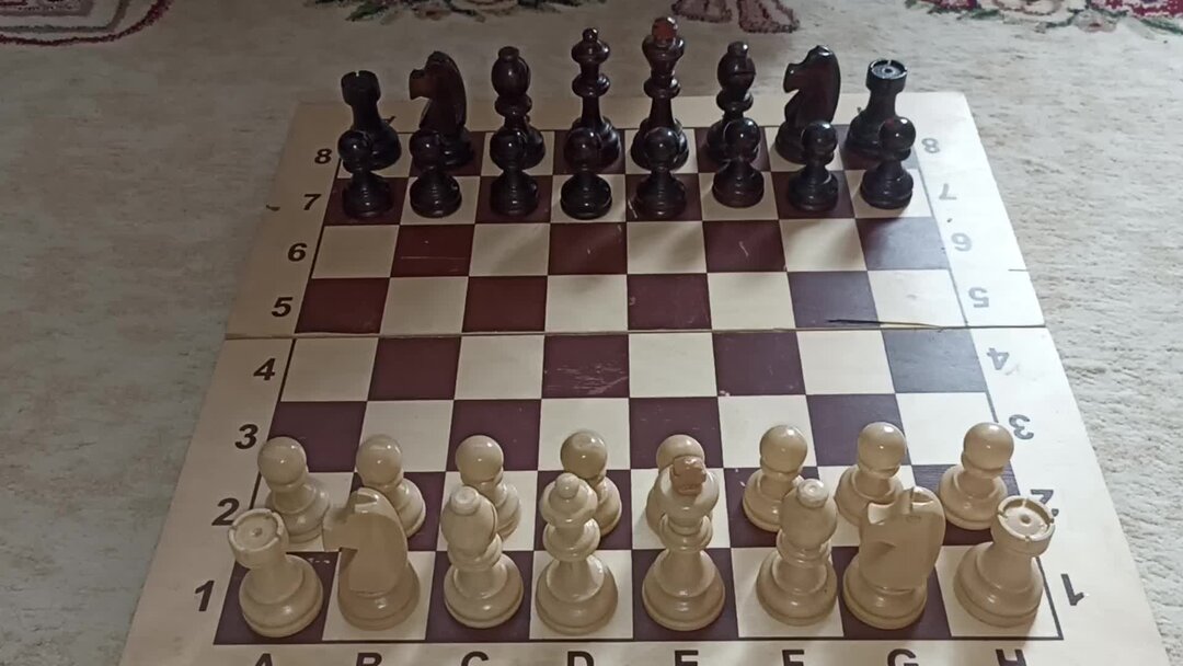 Шахматный конь на доске 9x9