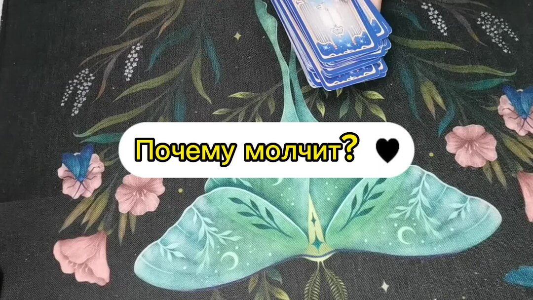 Ильмира таро на дзен. Ильмира таро на дзен. Ильмира таро на дзен. Популярные таро. Вселенная таро.