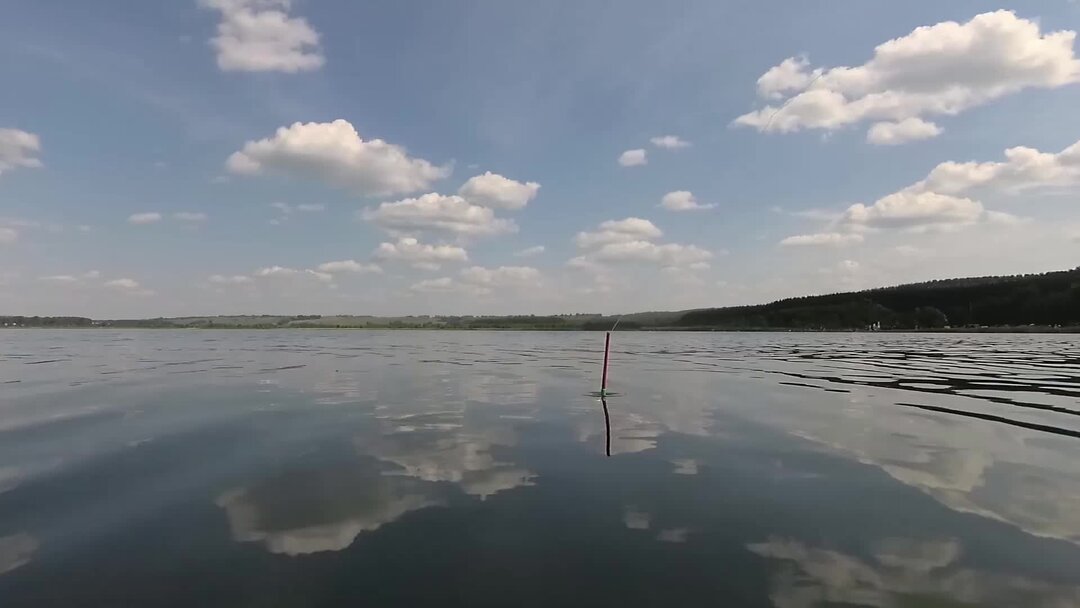 Рыбалка на поплавок крупным планом