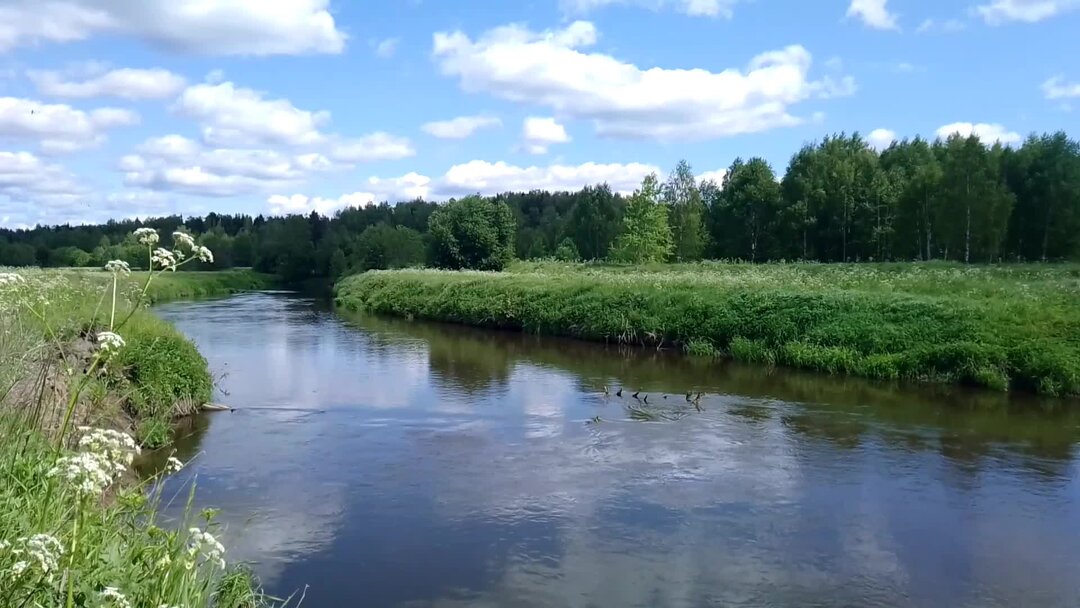 Алик уводи