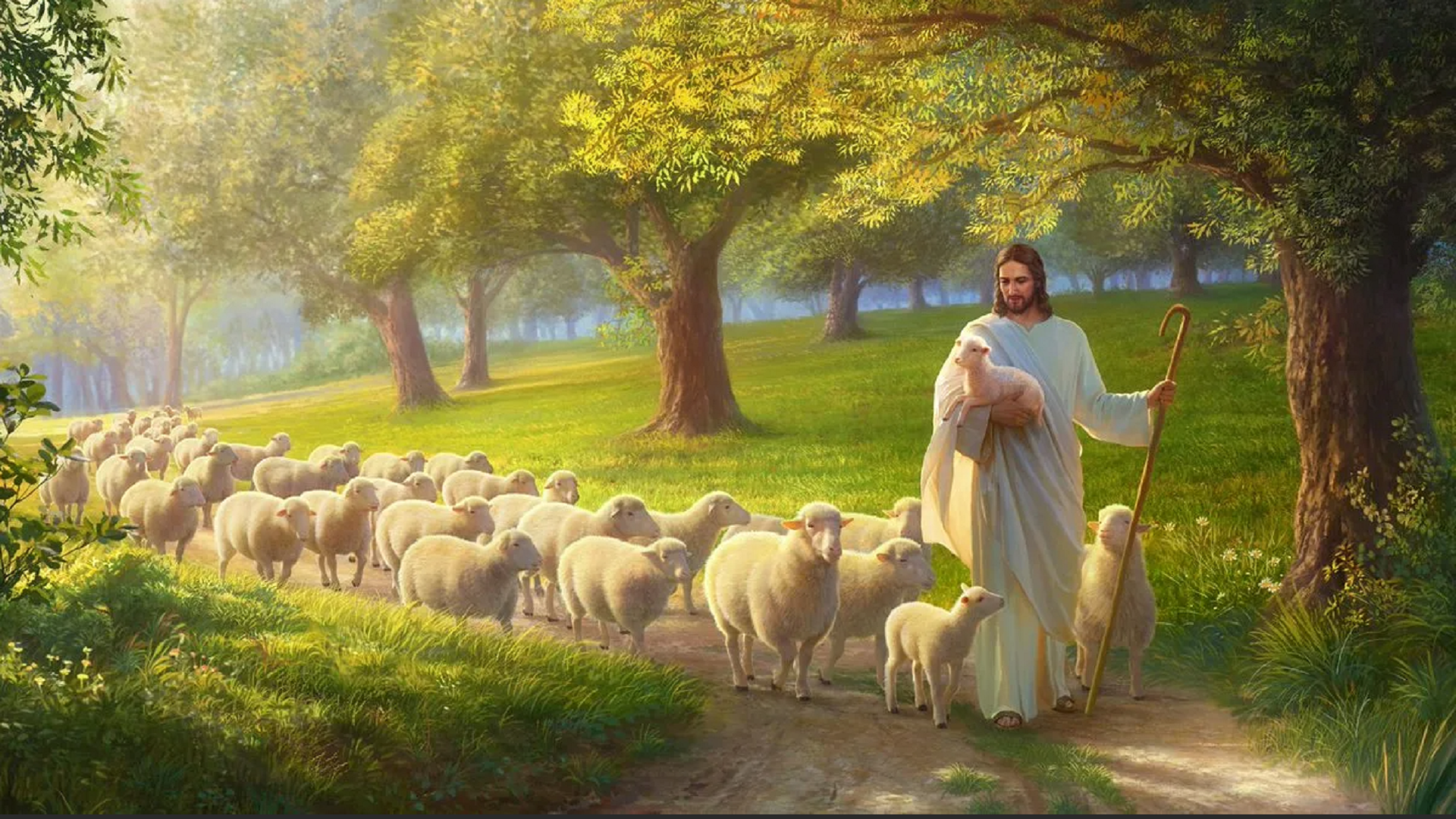 Jesus in berlin. Десятый Агнец Божий. Shepherd with Sheep. Агнцы Божьи. Роман. Овцы Мои слушаются голоса моего и я знаю их и они идут за мною.